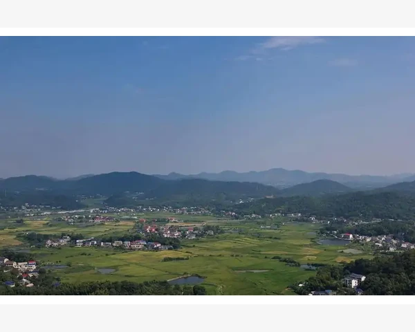 B2B费率真相商家必知的核心成本