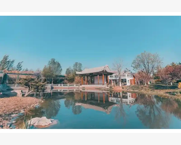 中医治疗湿热，从根源调理身体健康